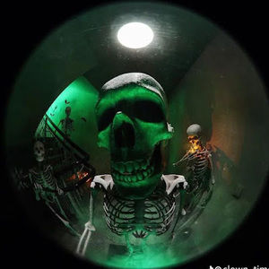 Meet your Posher, Isabella